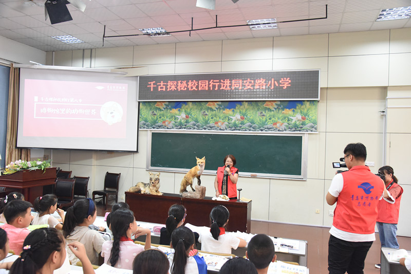 DSC_9522_副本.jpg