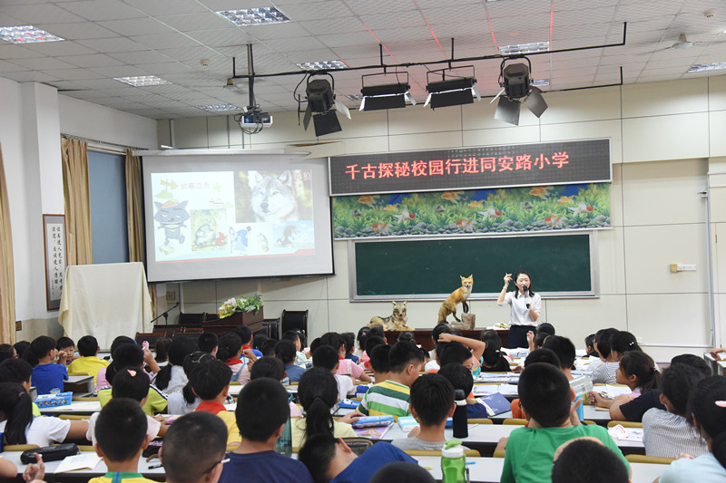 DSC_9702_副本.jpg