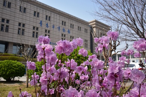DSC_9672.JPG
