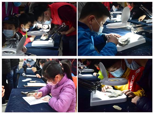 11微信截图_20210215225952_副本.png