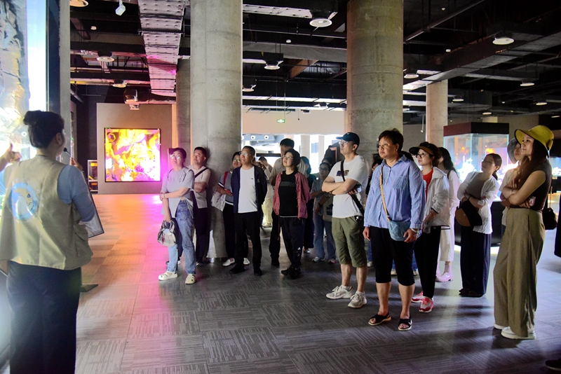 DSC_4952.JPG