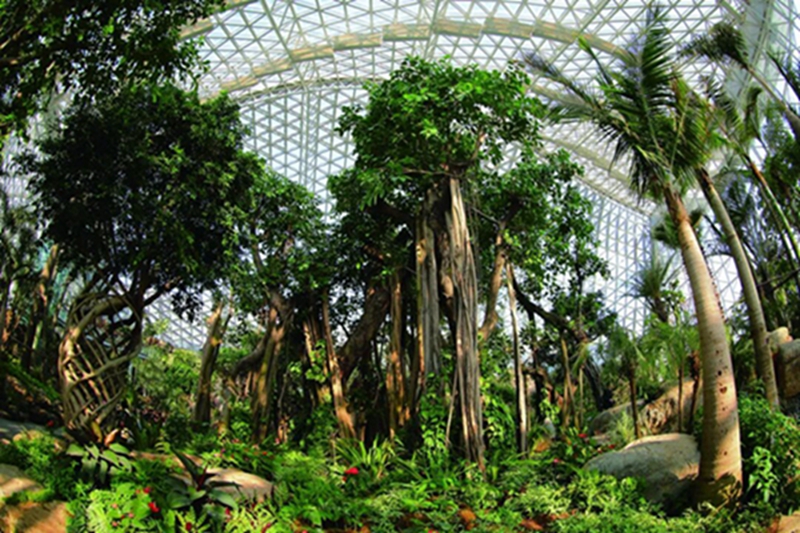 1758004658125874.jpg 640.jpg