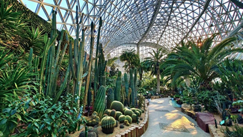 1758005215309874.jpg 640 (3).jpg