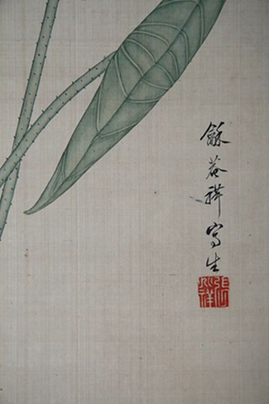 1758073904183959.jpg 640 (7).jpg