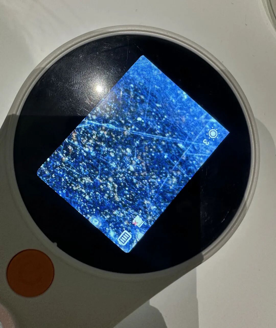 1775741028940624.jpeg 49-3.jpeg